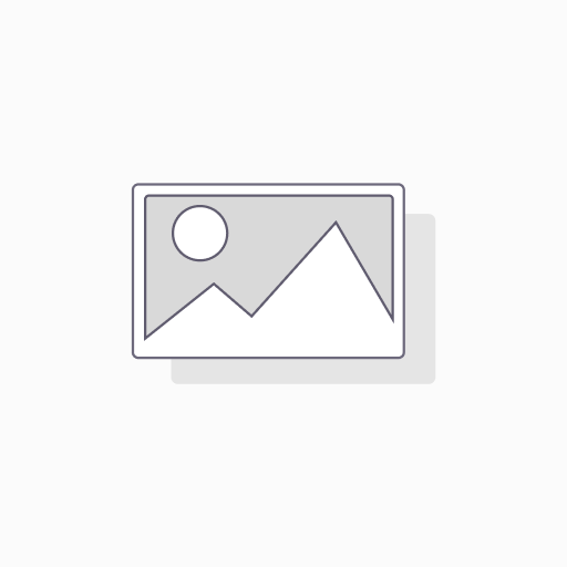Filtro de Aceite Motor OEM 95765