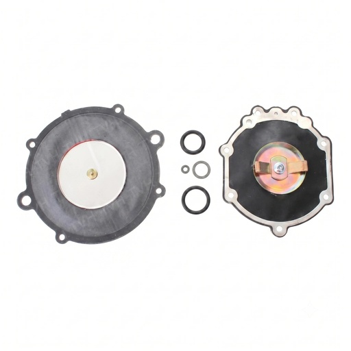 [TY04221-U2010-71] DIAPHRAGM KIT